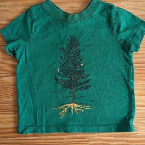 Hanna Andersson Toddler Pine Tree Graphic Tee